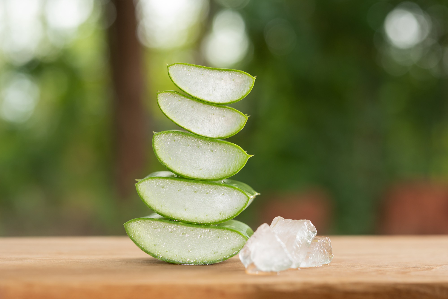 Aloe Vera Gel Benefits for Skin and Body | Calo Blog