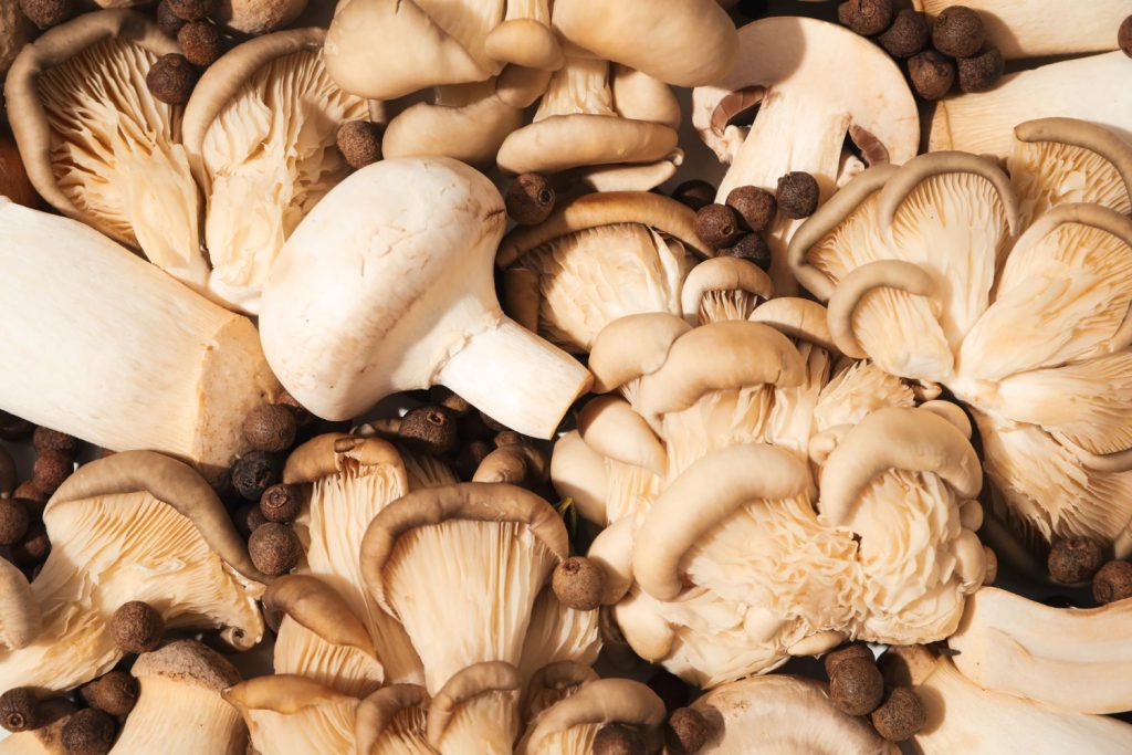 Your Guide to Adaptogenic Mushrooms