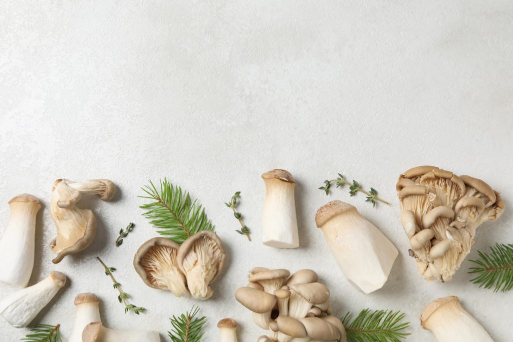 Your Guide to Adaptogenic Mushrooms